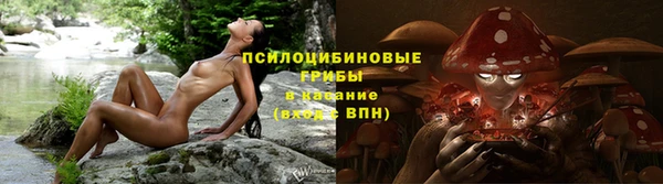 Альфа ПВП Ладушкин