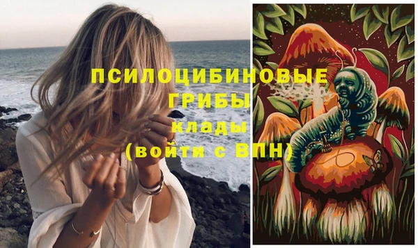 Альфа ПВП Ладушкин